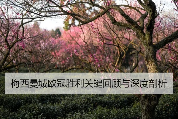 梅西曼城欧冠胜利关键回顾与深度剖析